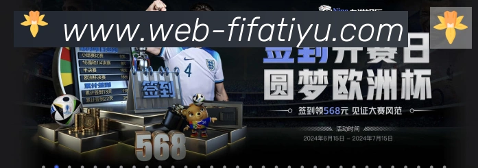 未来规划